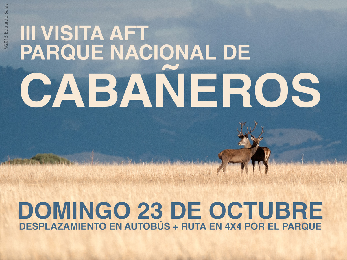 III Visita al parque nacional de Cabañeros